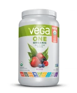 Vega One Organic All In One Shake Large Size
