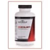 Beverly International Muscularity 180C Amino Acids