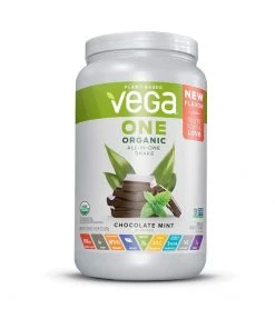 Vega One Organic All In One Shake Large Size
