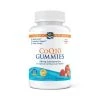 Brain Health Nordic Naturals CoQ10 Gummies 60ct