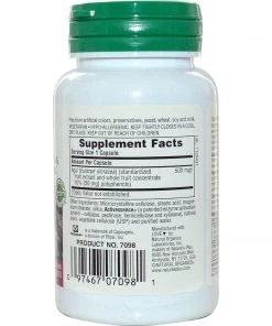 Nature's Plus Herbal Actives Acai 500mg 60VC - Discontinued