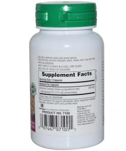 Nature's Plus Herbal Actives American Ginseng 250mg 60VC