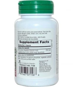 Nature's Plus Herbal Actives Dong Quai 250mg 60VC Herbs