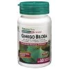 Nature's Plus Herbal Actives Ginkgo Biloba 100mg 60VC