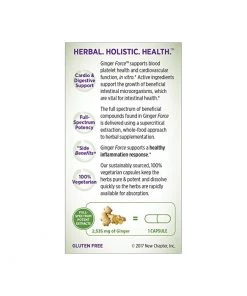 New Chapter Ginger Force 60LC