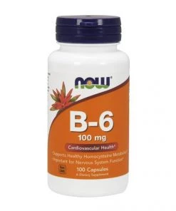 Now Foods B-6 100mg 100c Heart Health
