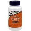 Amino Acids Now Foods GPLC Glyco-Carn + CoQ10 500mg 60VC