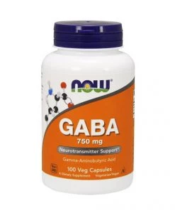 Mood Support Now Foods GABA 750mg 100VC