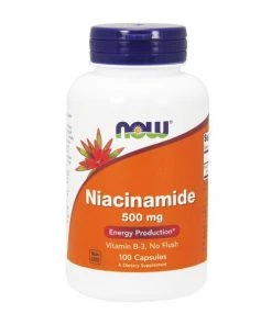 Now Foods B-3 Niacinamide 500mg 100C