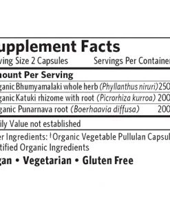 Organic India Liver Kidney 90VC