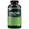 Optimum Nutrition Creatine 2500 300C