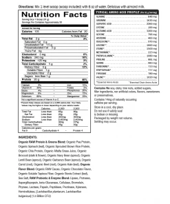 Garden Of Life Raw Protein & Greens 20 Servings