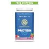 Sun Warrior SunWarrior Warrior Blend Protein 30 Servings
